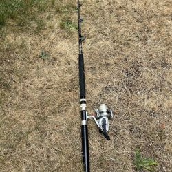 Fishing Pole 