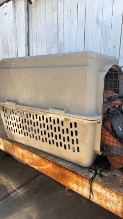 Cage dogs jaula