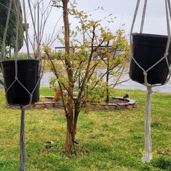 Macrome Plant Hangers