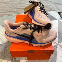 Brand New Air Zoom Pegasus 41. $110 OBO 