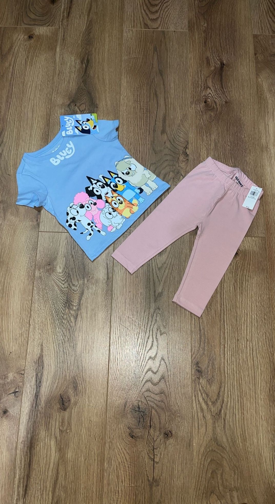 Toddler Girl’s Bluey, Bingo, and Friends T-Shirt / Top and Leggings, Size 12-18 Months
