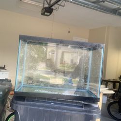 20 Gallon Tank