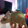 Edgar