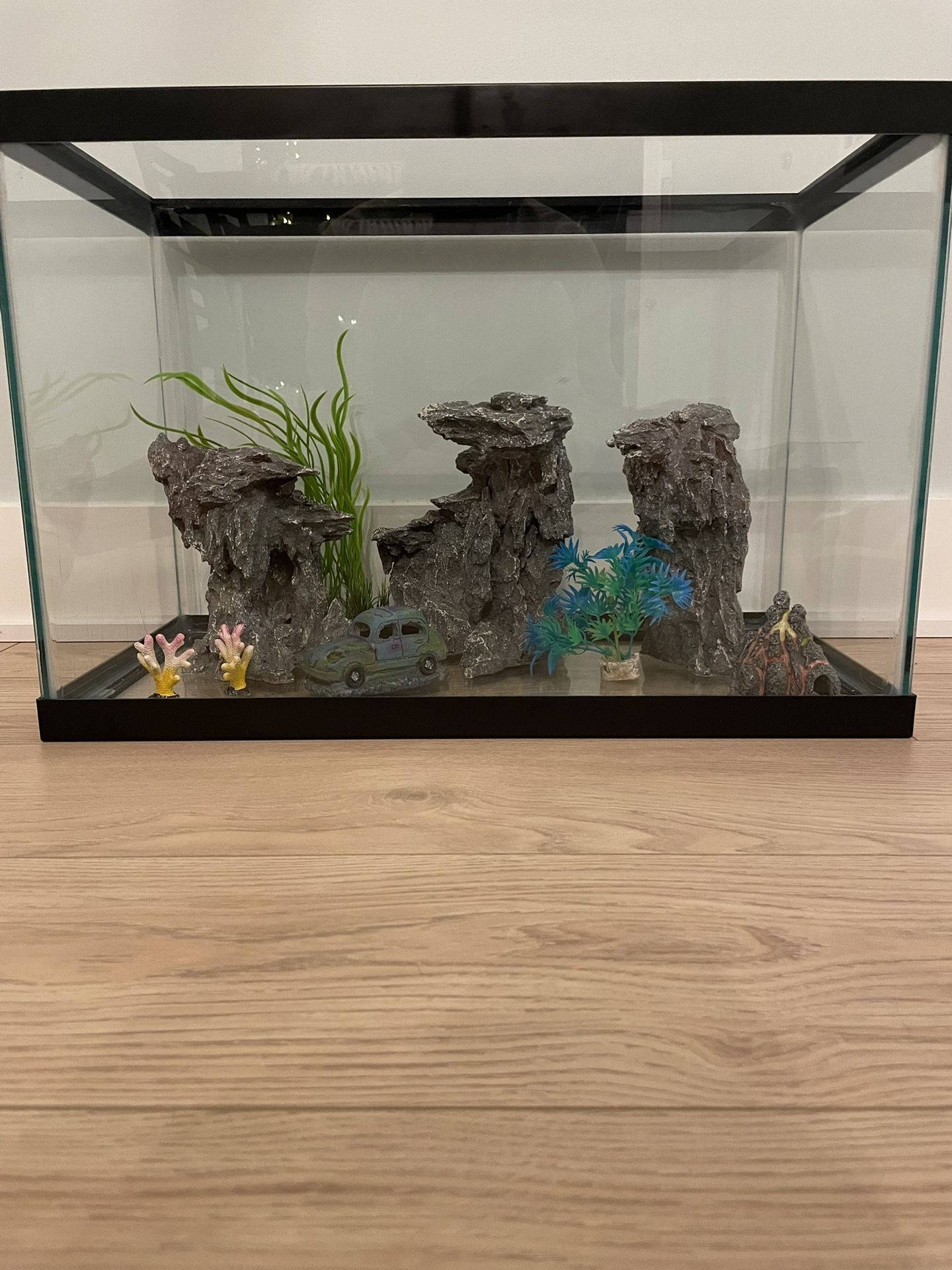 20 Gallon Fish Tank