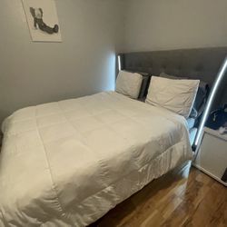 Modern Grey Bed Frame With LED