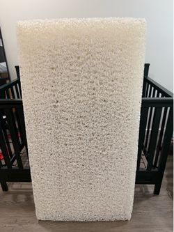 Newton Mattress