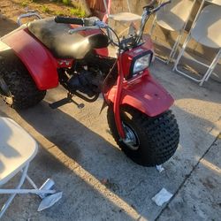 1984 Honda Atc 125m