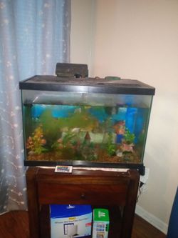Pecera de 20 galones con 2 fotos 4 peces adornos pompa de oxígeno todo por $25