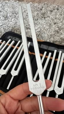 Biosonics Set of 8 Solar Harmonic Spectrum Tuning Forks