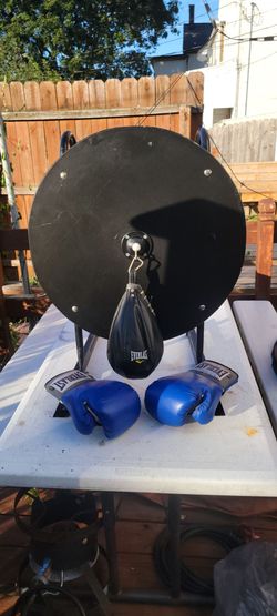 Speed bag & gloves