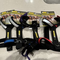 Alpine Outfitters Urban Trail Dog Harness