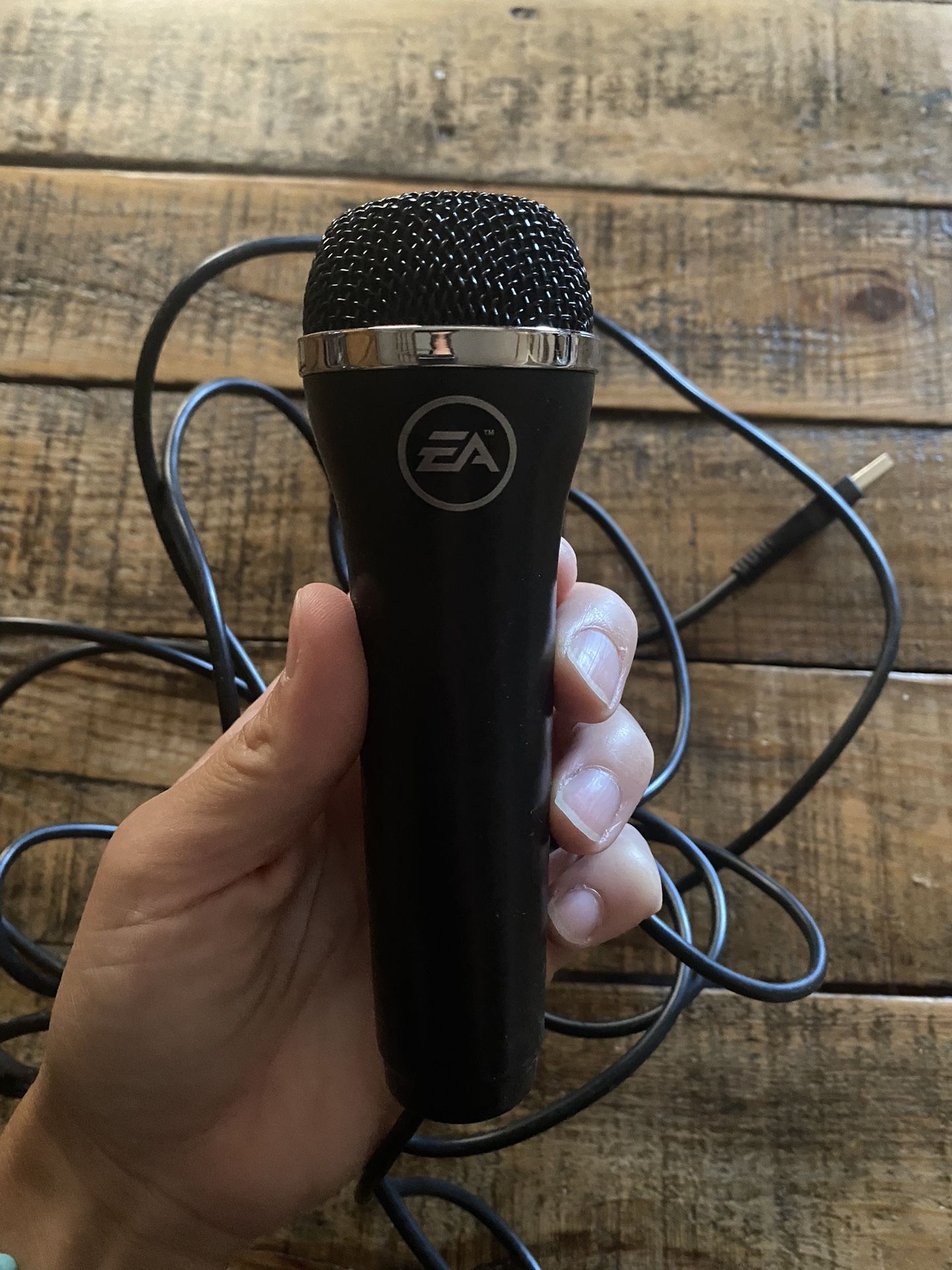 Rockband Mic