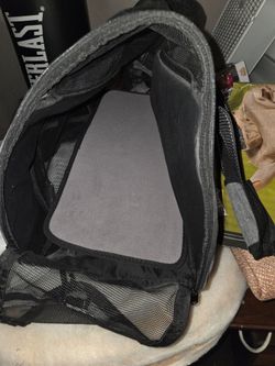 Dog back