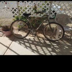Vintage Beach. Cruiaer1 Speed Bike