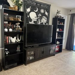 Bookshelves/ Entertainment Center