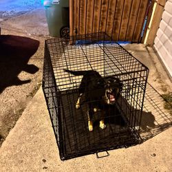 Dog Crate/cage 