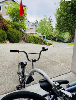 WeeRide copilot bike. Fun bike ride with kiddos