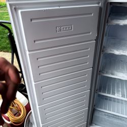 Standing Freezer