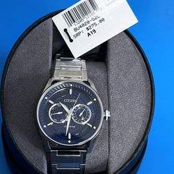 Citizen Watch Eco-Drive BU4021-84L