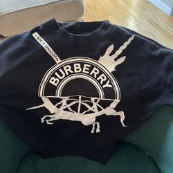 Burberry Sweatshirt 