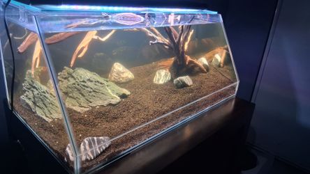 Aquarium Tank with LED Light and Hardscape