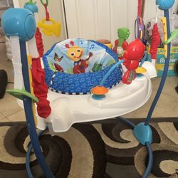 $20  Baby Bouncer 