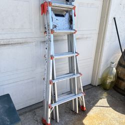 Little Giant Adjustable Ladder 