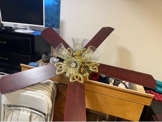 Ceiling light fan