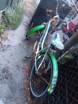 Beach cruiser's  $30 firm