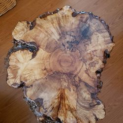 Burl Wood- Mushroom Side Tables