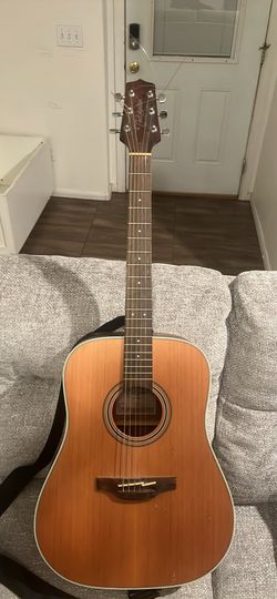 Takamine G Series