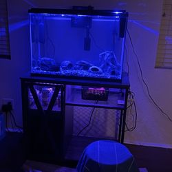 Fish Tank 29 Gallon With Fluval 307 And RGB Charging Port Table