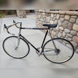Raleigh Road Bike, L Frame 700c 9 Gears - Good - 1984 - San Bernardino, CA