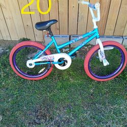 20"Girl Bike Used But Ready To Ride 