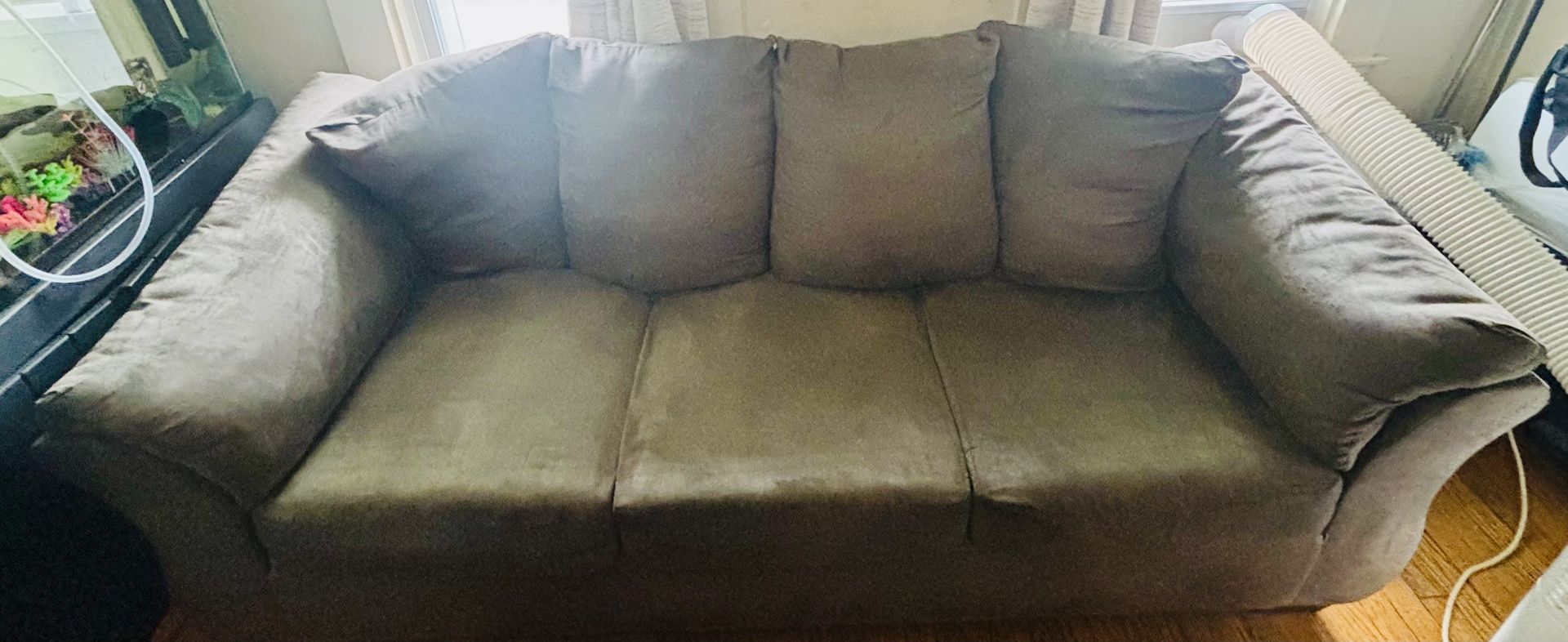 $75 Couch