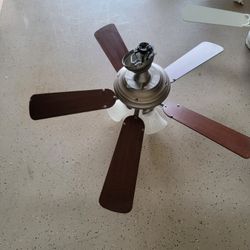 Ceiling Fan $30