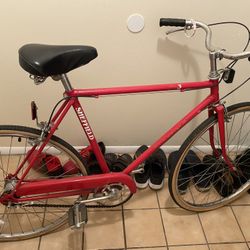 Classic Style Bike