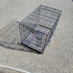 Petco Small Foldable Dog 