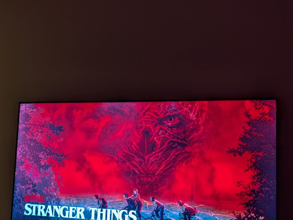 55' Roku TV Practically New With Brand New Mount