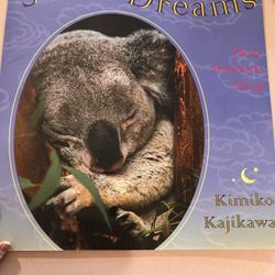 Large Book “Sweet Dreams”