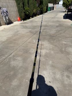 Seeker rod