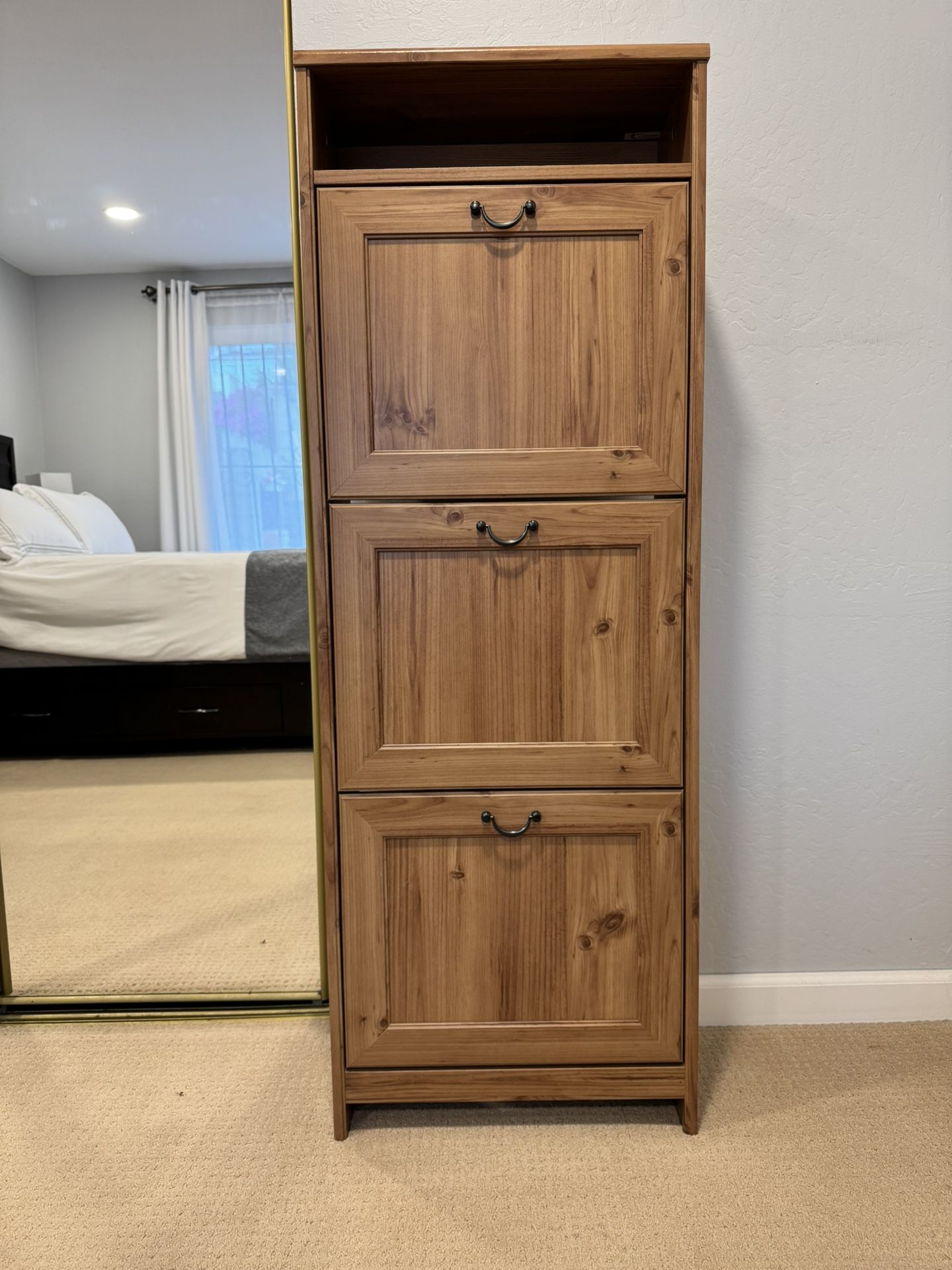 Elegant Upright Shoe Rack