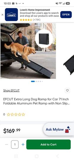 Dog Ramp
