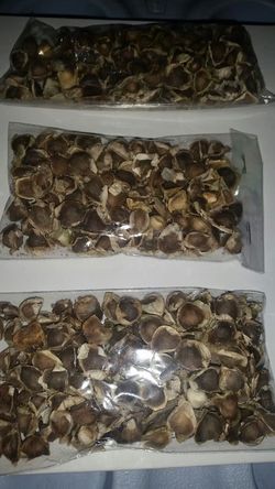 Moringa