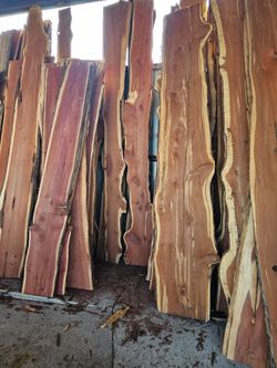 Cedar wood slabs