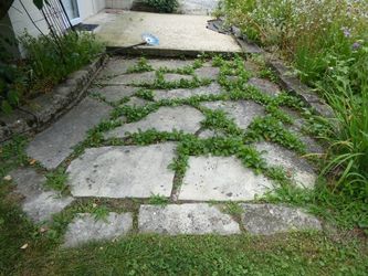 Stone Patio Flagstones, Lot