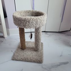 Cat Scratching Post