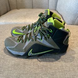 LeBron 12 Dunk Forces