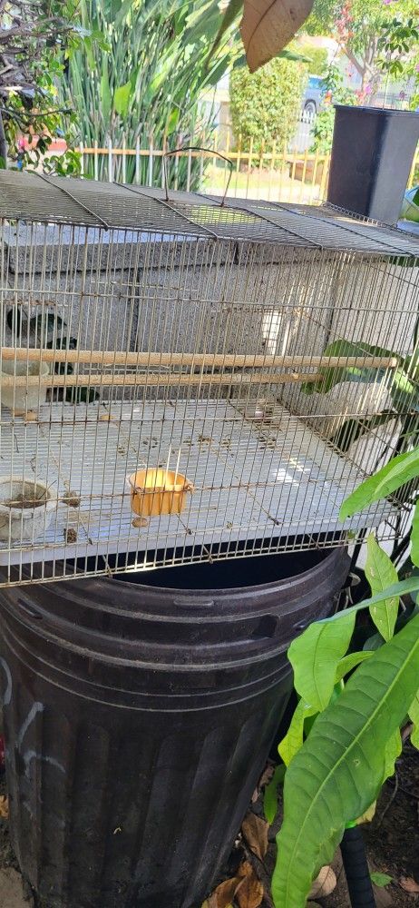 Jaulas Para Pájaros 🐦