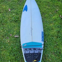 Roberts Surfboard Short Board
